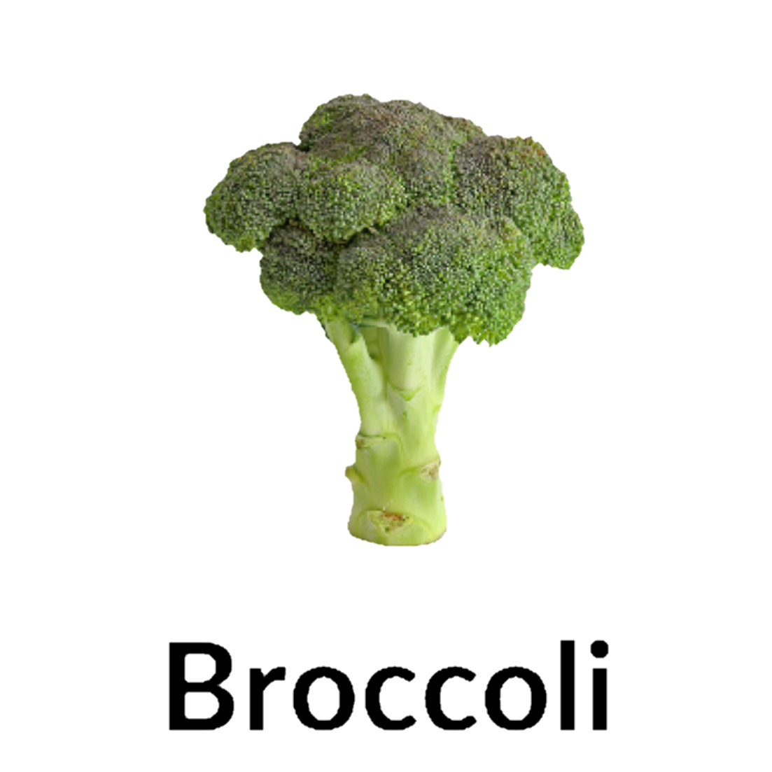 Brocolli