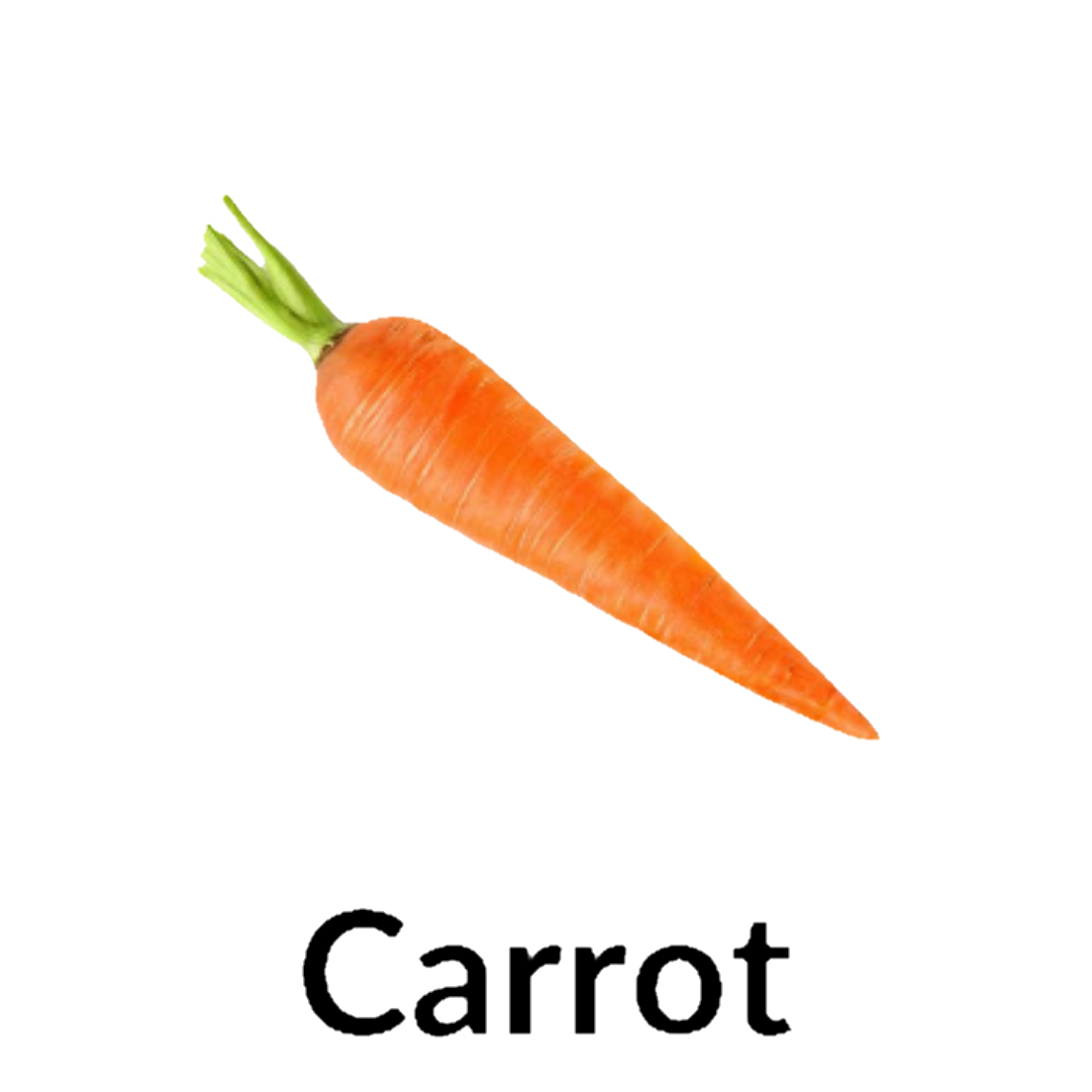 Carrot