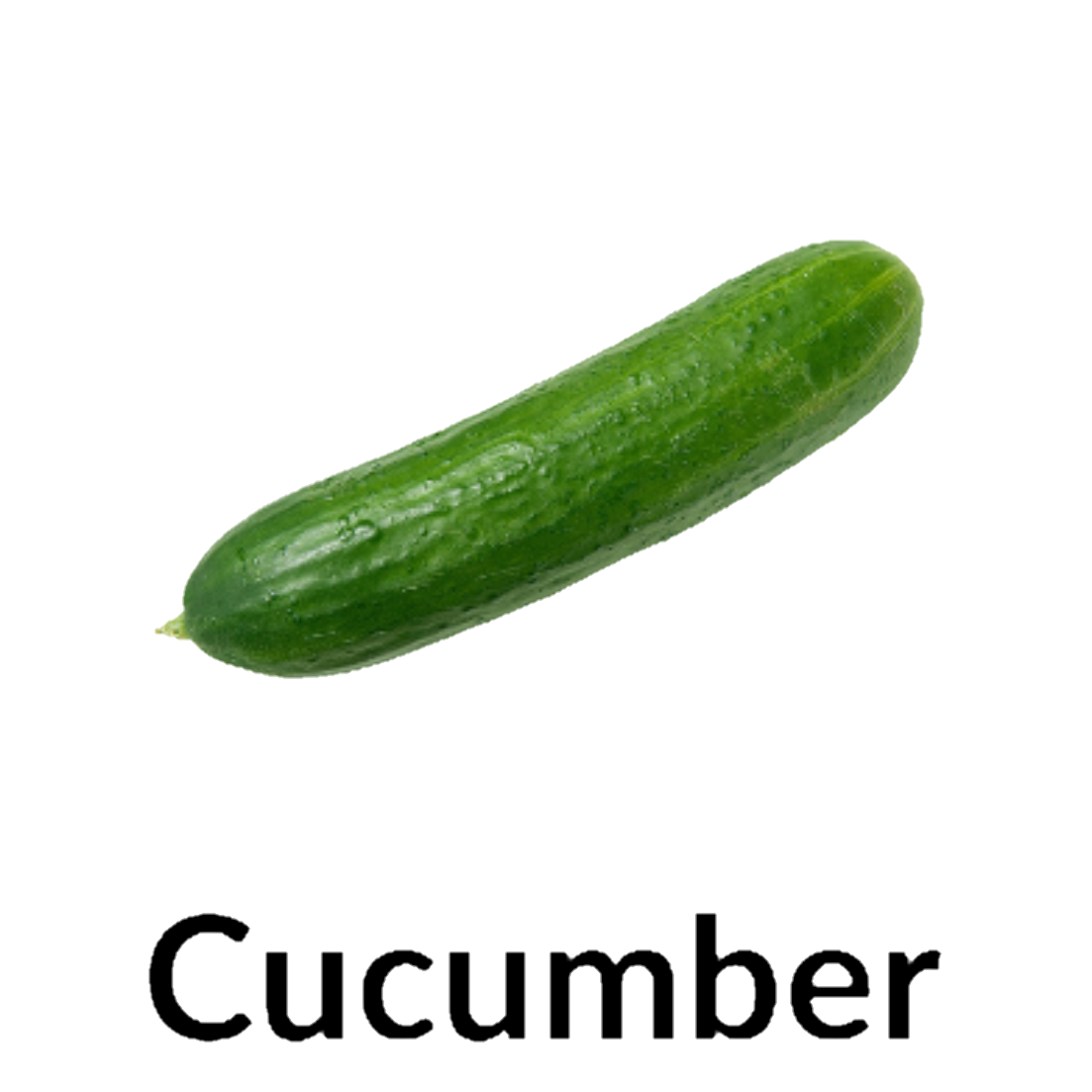 Cucumber