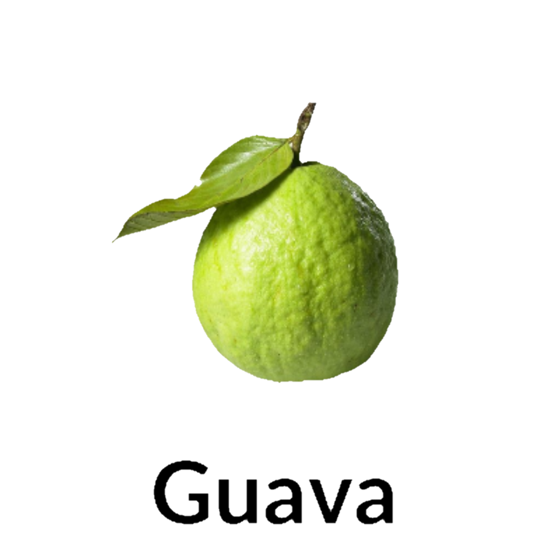Guava