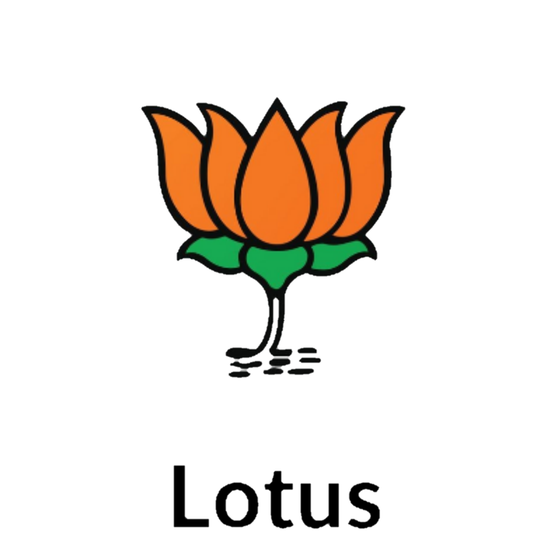 Lotus