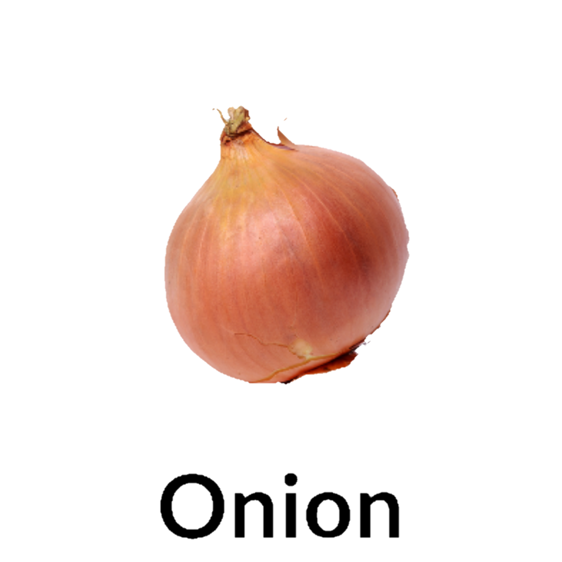 Onion