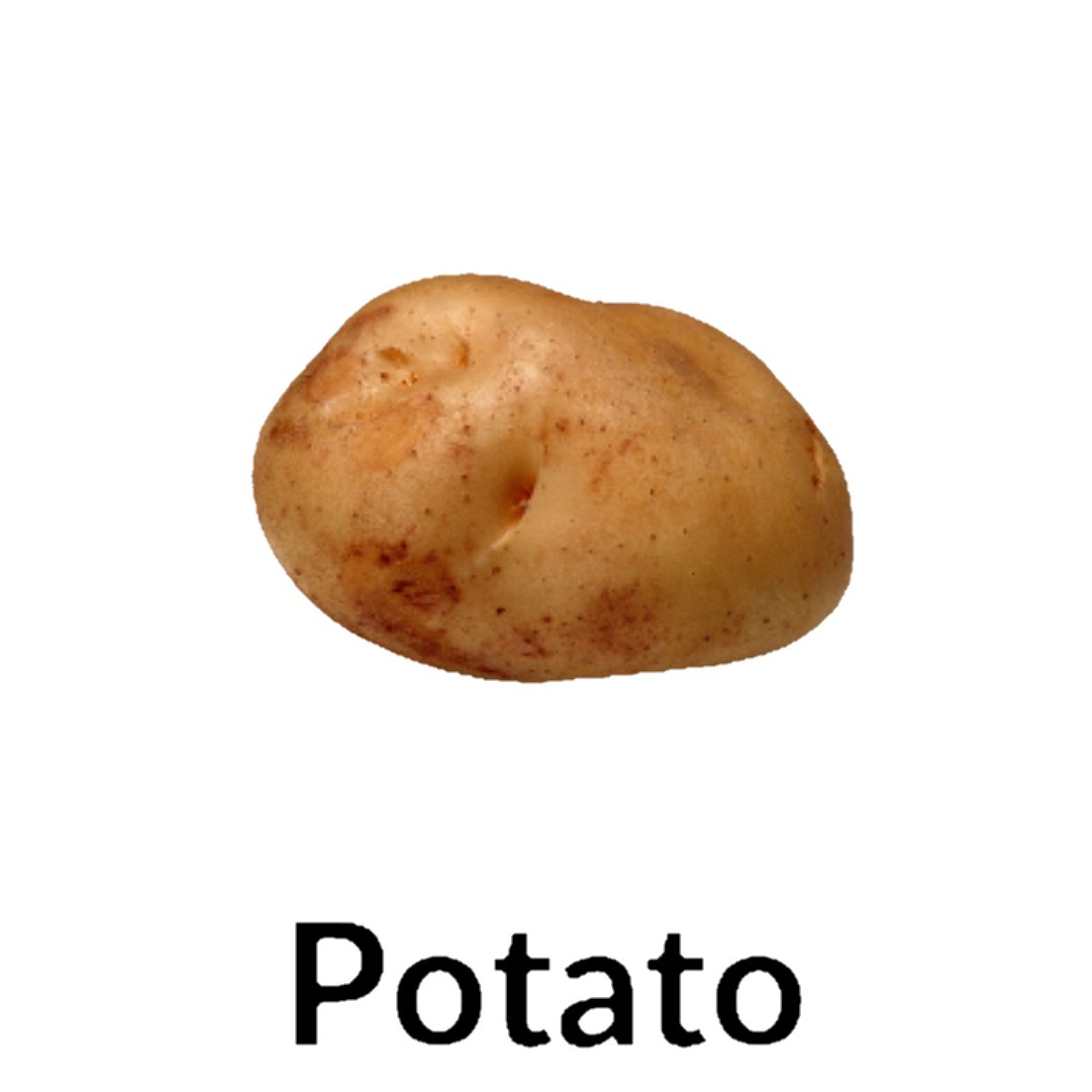 Potato