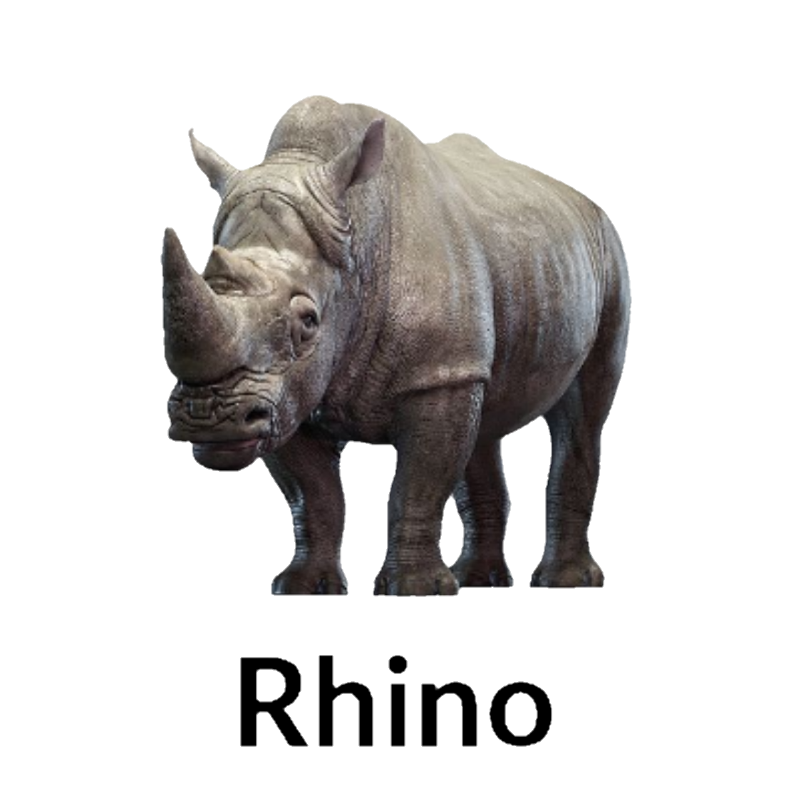 Rhino