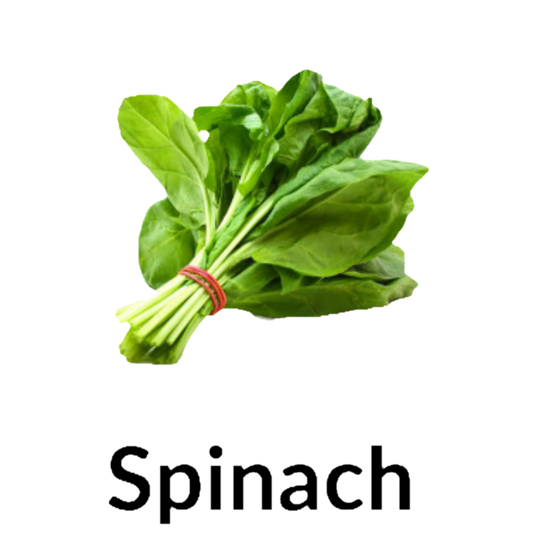 Spinach
